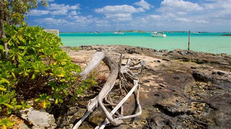 exuma nightlife|Nightlife in Great Exuma 